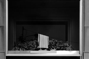 the idea of an exhibition, half hero