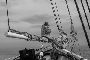Bow Watch