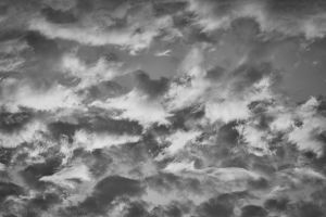 © Carolyn Meltzer