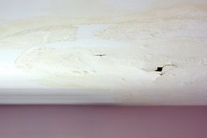 Ceiling leak © Joy Christiansen Erb