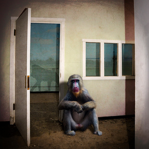 Solitary