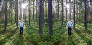 Honeymoon in Finland #5, 2022