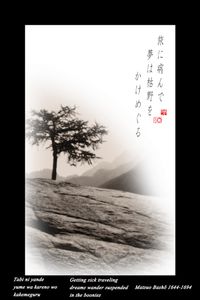 "Getting sick traveling" from the research "Haiku" © Roberto Spotti