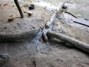 "Tanguntsa"