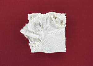 Afsaneh's T-Shirt, 2014 © Ali Mobasser