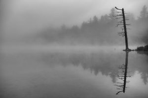 reflection