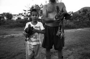 The Cockfighters of Viñales
