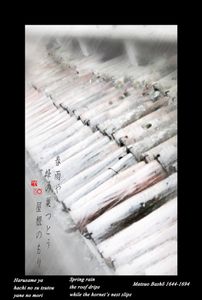 "Spring rain"  from the research "Haiku"© Roberto Spotti