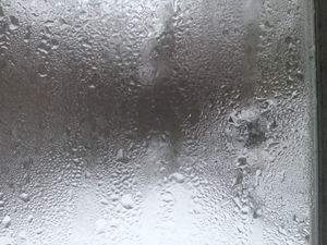 Mar 13  10:30am