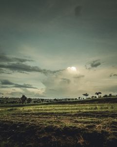 tazara.027
