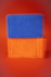 Ordinary subjects and color field_7
