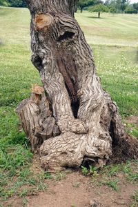 Slumber (beats lumber!)