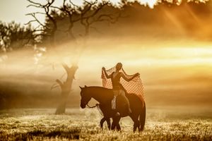 The foggy Morning
