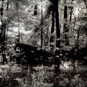 Wonderland Part 2, Great Falls Park, VA, 2008                                                                  © Kimberly Schneider