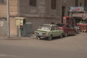 A Cool Cat in the Shade of a Fiat