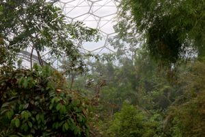 Humid Tropics, Eden Project