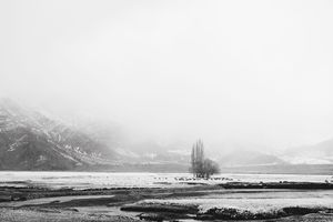 Snow Field Variation