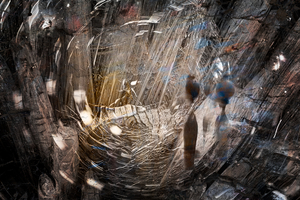 CS_05_2020-0047