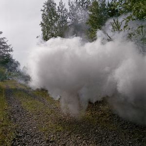 Work from series "Ilgas"