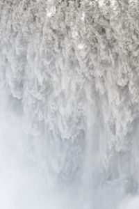 Foss 6