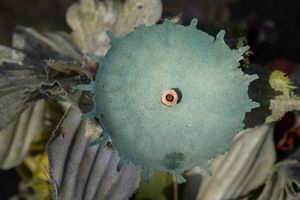 Dead artificial flower.