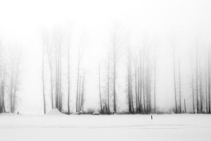 The Space Between
