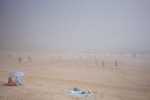Fog 9