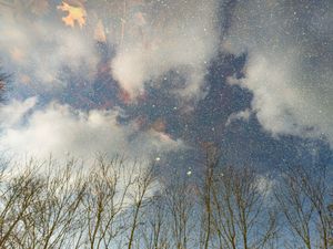 Untitled from the series En los tiempos del coronavirus