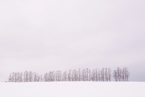 Winter Horizon in the Vicinity -03