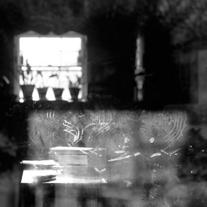 Fingerprints & Nose prints © Abbey Box