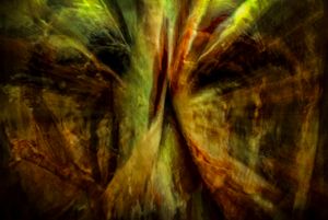 Slaughterhouse elegy XII