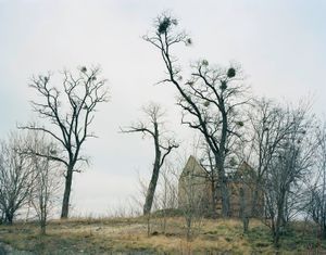 Bei Großräschen, Oberspreewald-Lausitz, 2009
