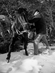 Cabalgando por la Patagonia.
