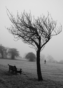 Lone Tree Sunny Hill Park
