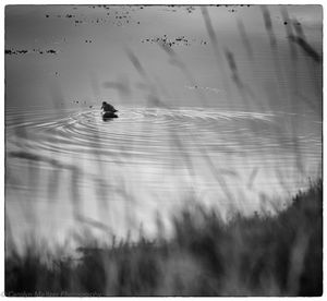 © Carolyn Meltzer
