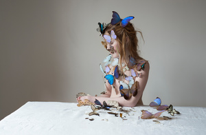 Butterflies