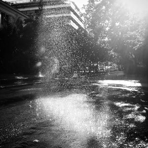 Morning light #3