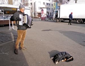 "THE LAST DAY OF A DOG" "DER LETZTE TAG EINES HUNDES"