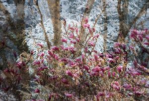 the seasons confused