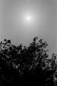 El sol 6
