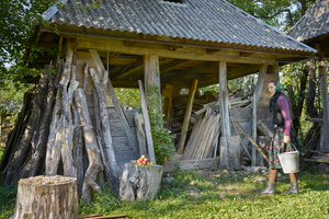 Entering the Shed