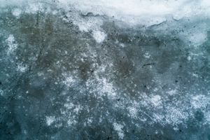 Lakeshore Operations | Winter Series #01