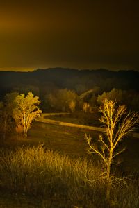 Grassland Road, Somber Night