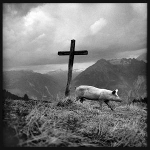 © romano p. riedo | fotopunkt.ch