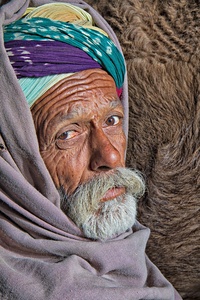 Camel Herder