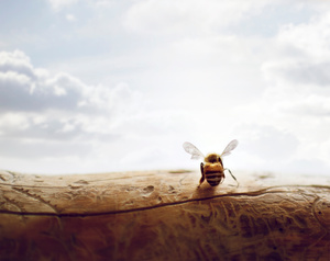 the future of bees