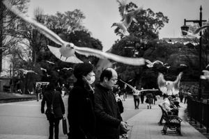 Hangry birds