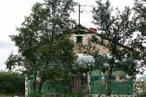 Desolation- Tree house