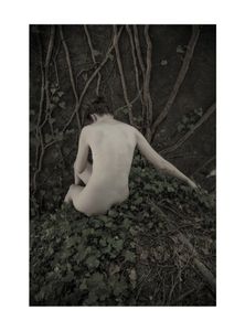 Leaves of grass - A woman waits for me - 2017
