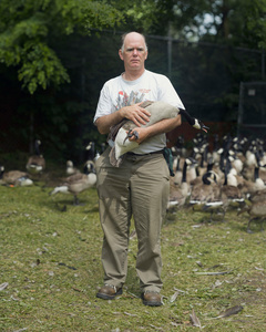 Goose man